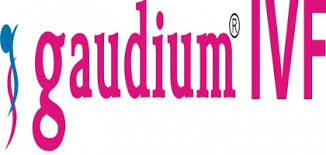 Gaudium IVF IPO