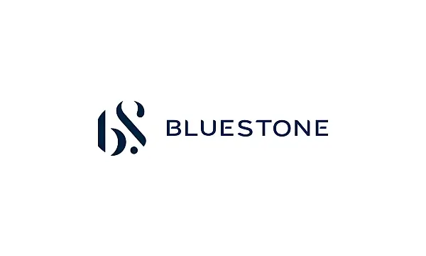 BlueStone Jewellery & Lifestyle Ltd. IPO 2025: All You Need to Know