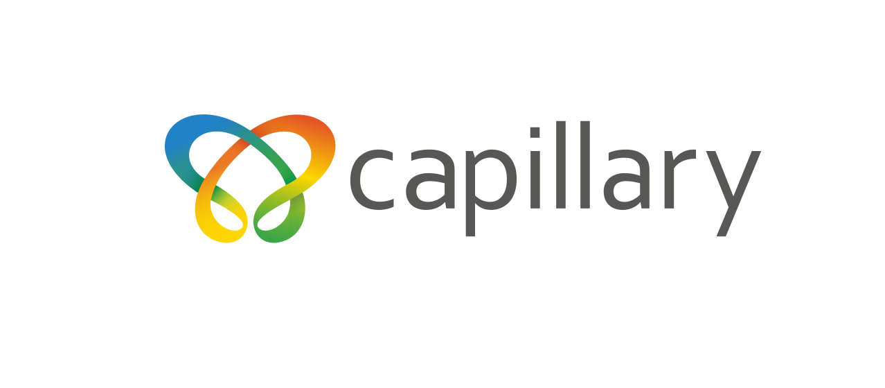 Capillary Technologies IPO price band lot size date