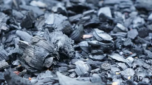 CMPDI IPO Allotment Status