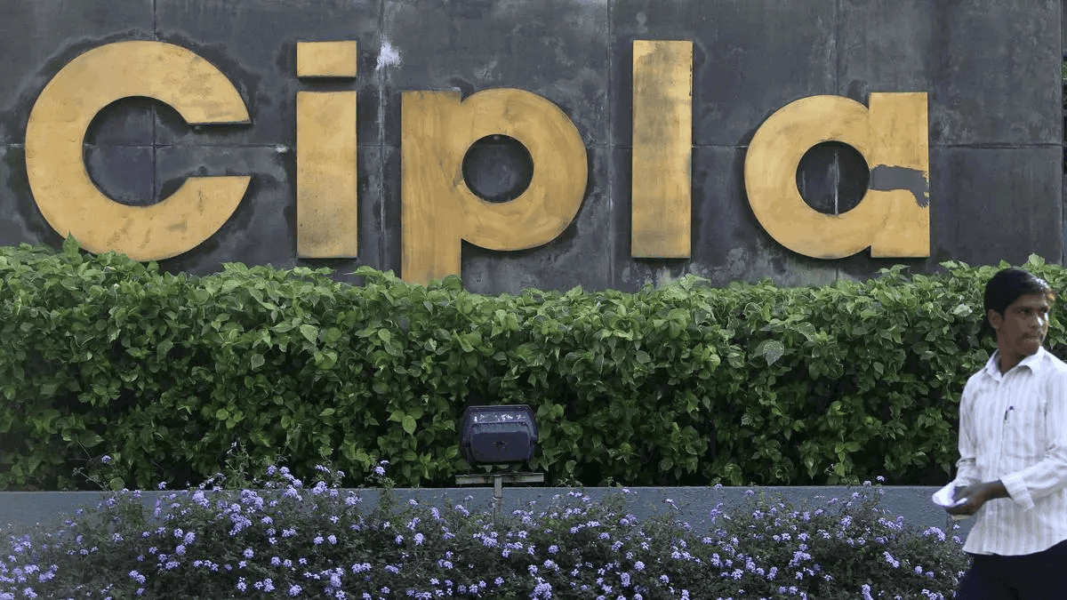 Cipla stock rising today