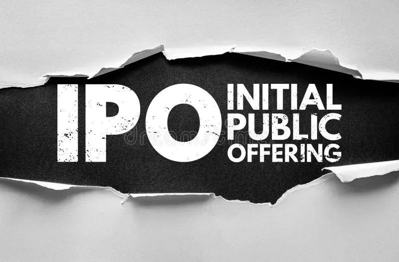 Leapfrog Engineering IPO Review