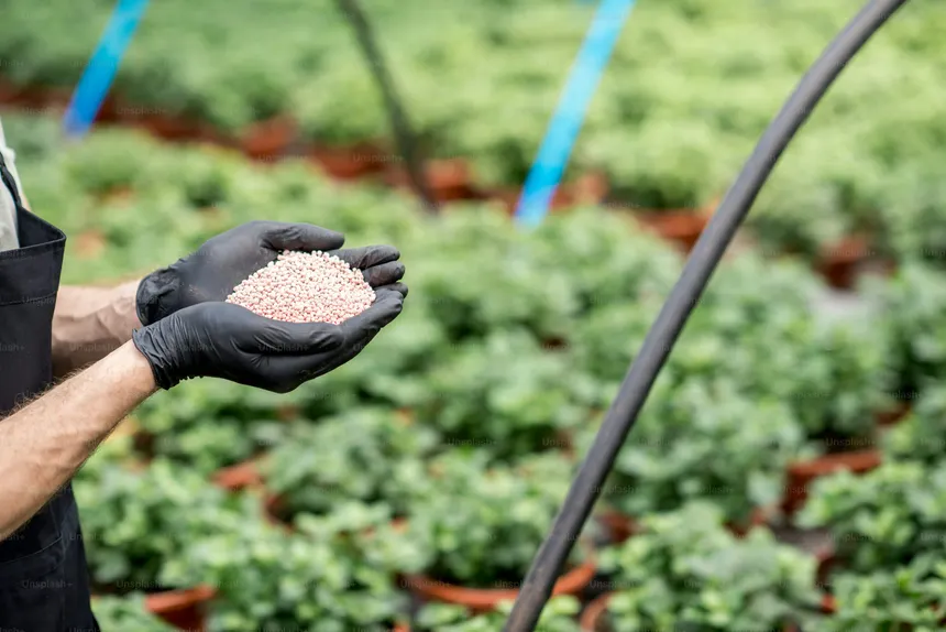 Best Fertilizer Stocks in India 2026