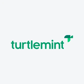 Turtlemint Fintech Solutions Limited IPO