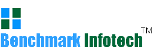 Bench Mark Infotech Services Limited IPO
