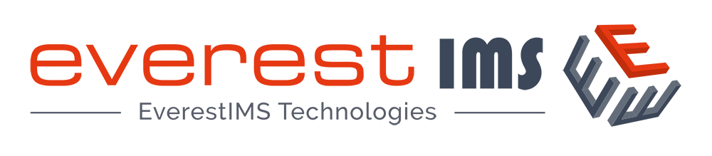 EverestIMS Technologies Limited IPO