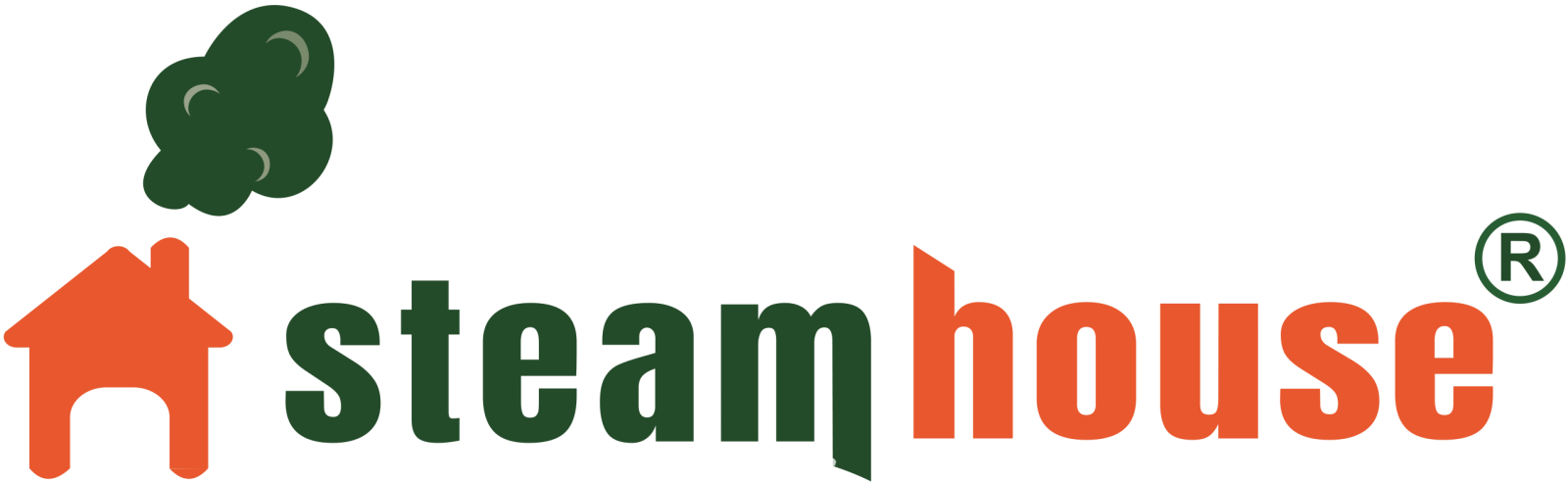 Steamhouse India Limited IPO